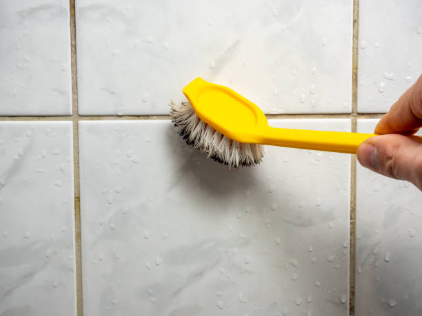 Best Office Mold Removal Services  in Trophy Clu, TX