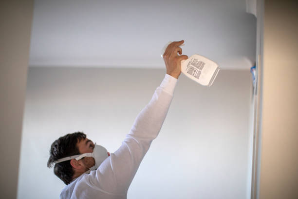 Best Mold Remediation Services  in Trophy Clu, TX