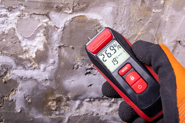 Best Residential Mold Removal  in Trophy Clu, TX