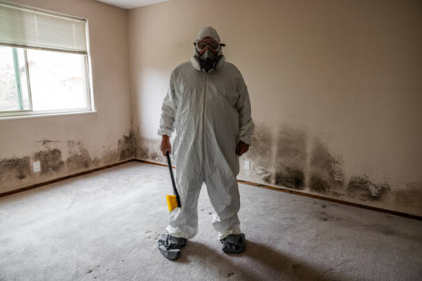 Best Mold Remediation  in Trophy Clu, TX